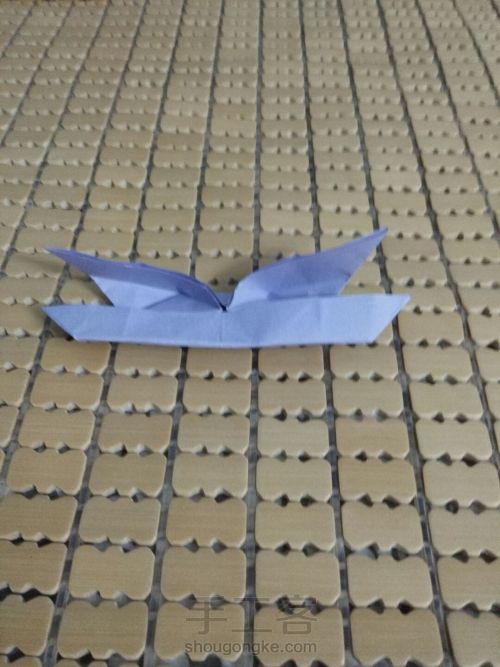 纸蝴蝶🌸 第21步