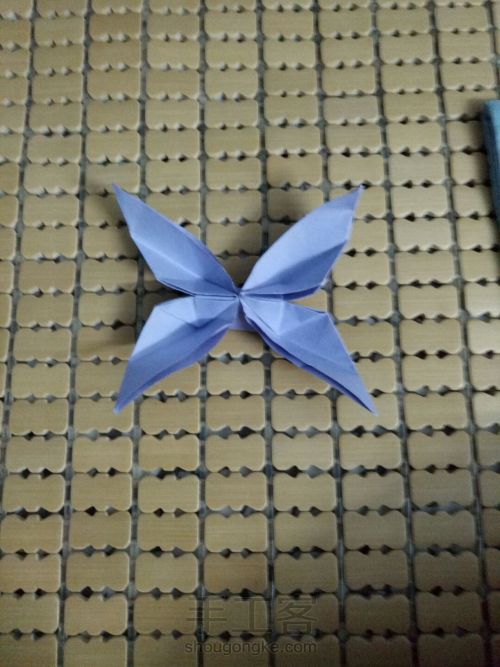 纸蝴蝶🌸 第26步