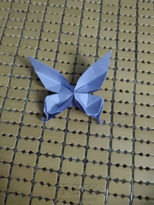 纸蝴蝶🌸 第30步
