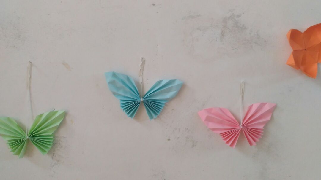 简单漂亮的蝴蝶