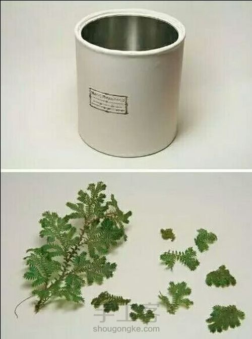 奶粉罐的神奇改造(转) 第11步