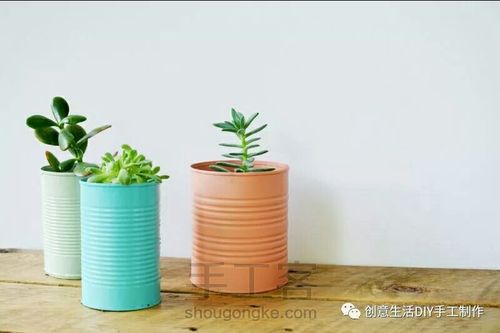 奶粉罐的神奇改造(转) 第3步