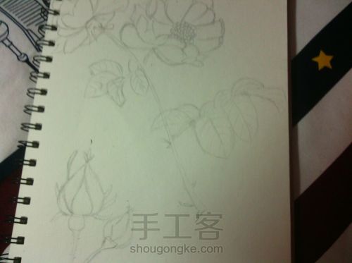 素描花朵 第3步