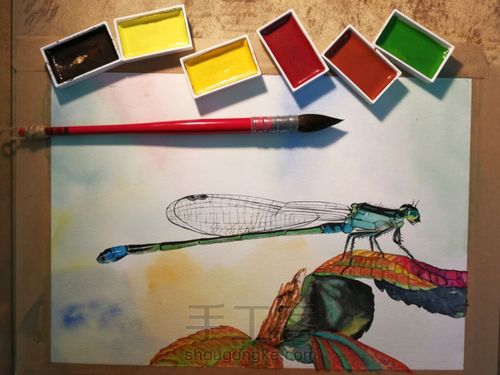 水彩丁丁猫儿 第1步