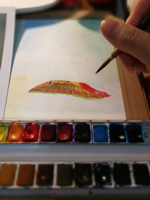 水彩丁丁猫儿 第12步