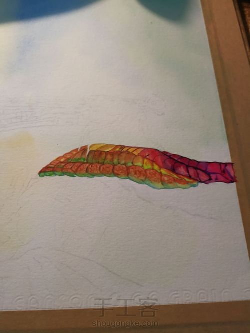 水彩丁丁猫儿 第13步