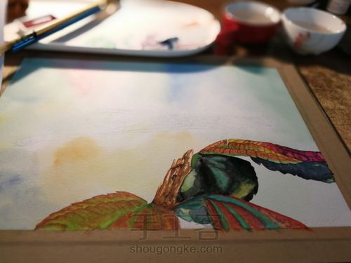 水彩丁丁猫儿 第16步