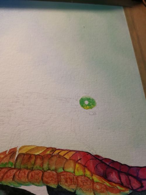 水彩丁丁猫儿 第17步