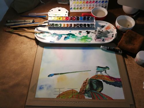 水彩丁丁猫儿 第23步