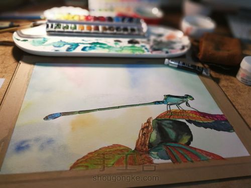 水彩丁丁猫儿 第24步