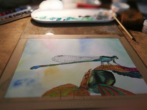 水彩丁丁猫儿 第26步