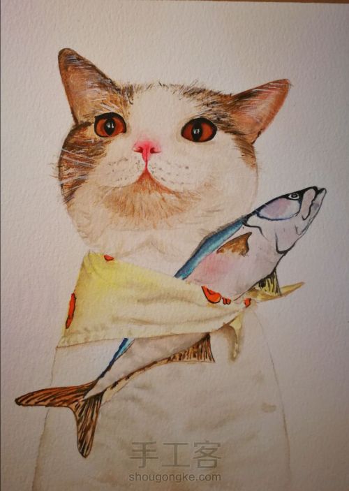 水彩手绘猫咪 第1步