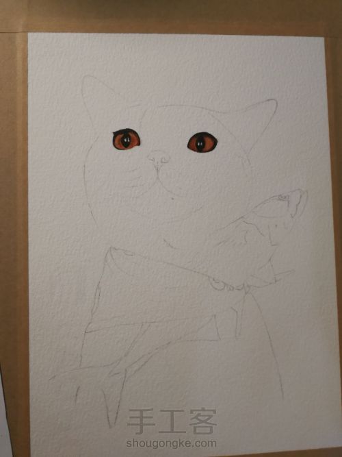 水彩手绘猫咪 第5步