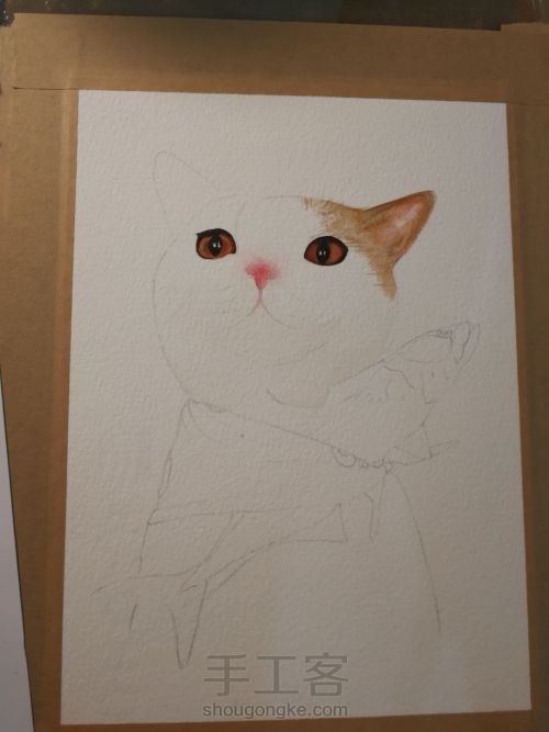 水彩手绘猫咪 第7步