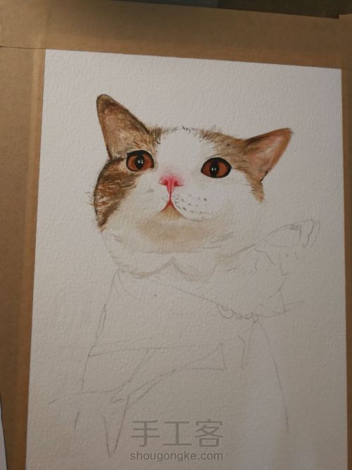 水彩手绘猫咪 第8步