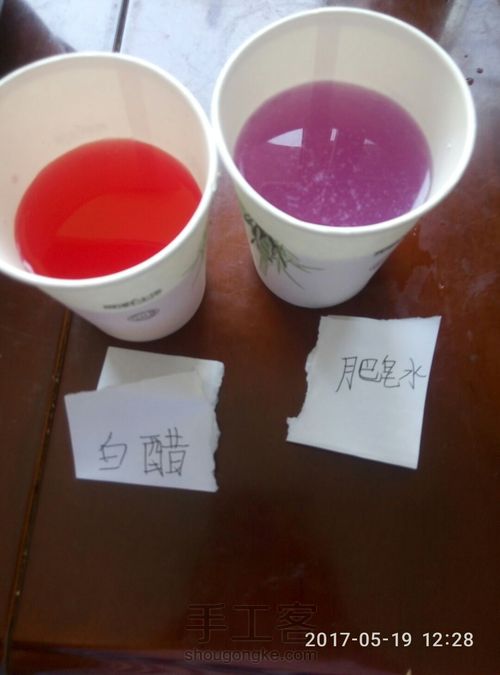 《科学小实验》会变色的蔬菜 第5步
