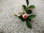 简单的小花戒指