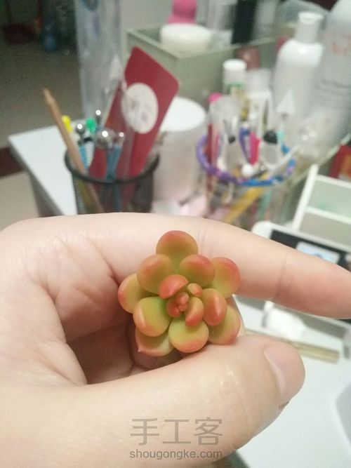 树脂多肉 第3步