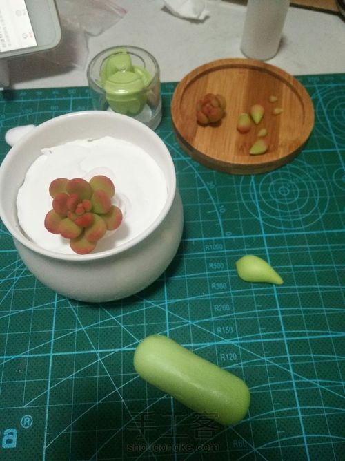 树脂多肉 第5步