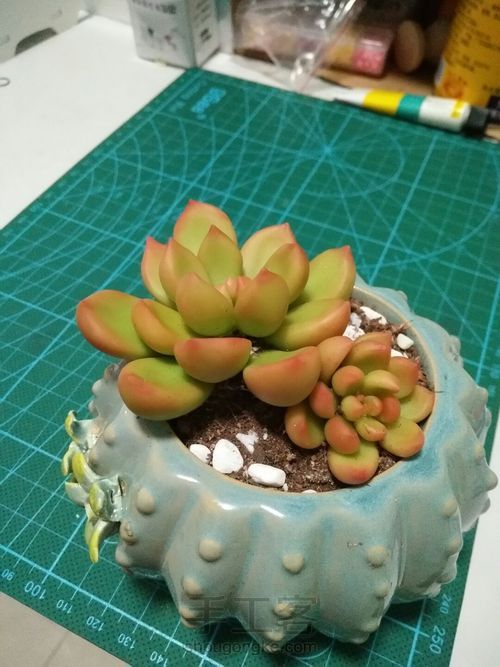 树脂多肉 第8步