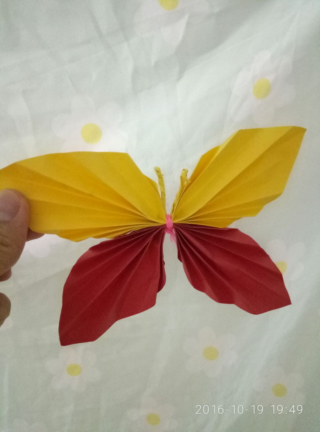 用折纸做出美丽的蝴蝶