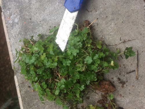 废灯泡也能点亮你的生活 第4步