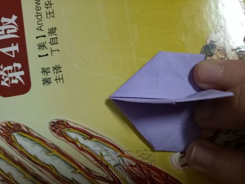 烟花不易冷 第19步