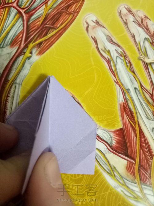 烟花不易冷 第21步