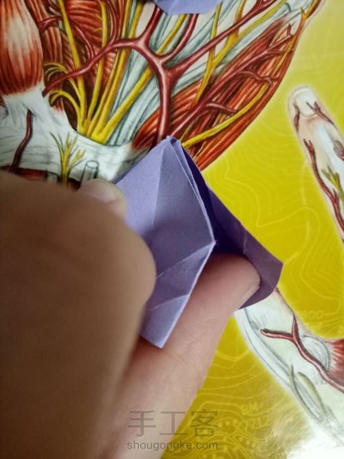 烟花不易冷 第22步