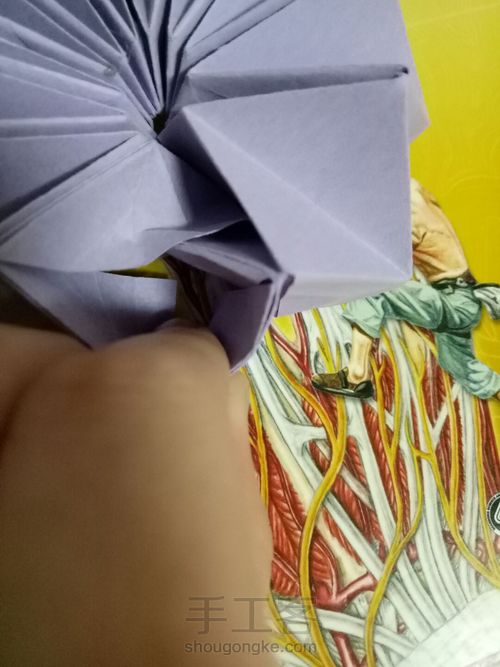 烟花不易冷 第33步