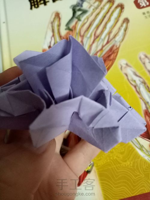 烟花不易冷 第36步