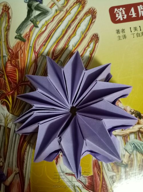 烟花不易冷 第37步