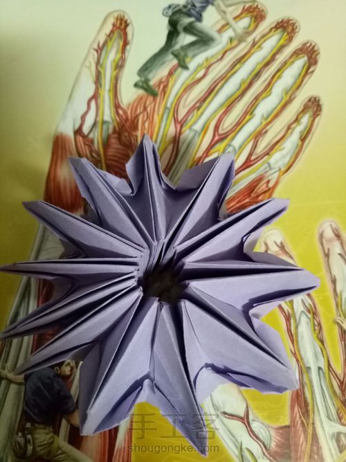 烟花不易冷 第40步