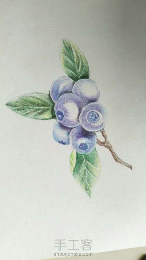 刺绣蓝莓团扇 第1步