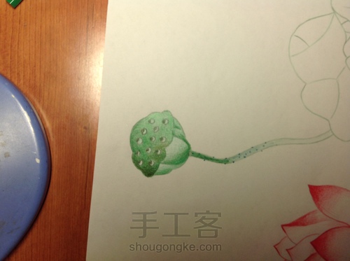 荷花（仿） 第14步