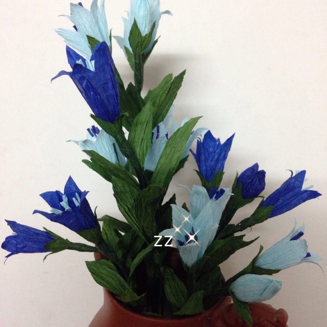 蓝色的龙胆花朴实无华，默默开放着。