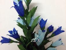 蓝色的龙胆花朴实无华，默默开放着。