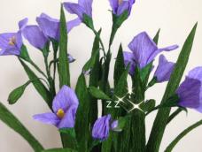 喜欢紫露草的紫色小花，于是对着从网上找来的紫露草照片用皱纹纸做了一盆。感觉还行，就把制作方法分享给大家。