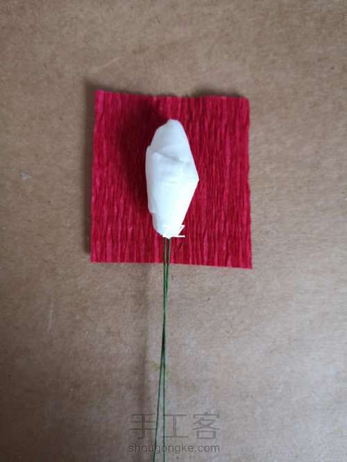 皱纹纸油牡丹制作方法 第3步