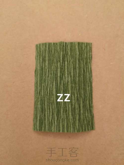 皱纹纸扶桑花制作方法 第18步