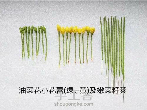 丝网花之油菜花制作教程 第2步