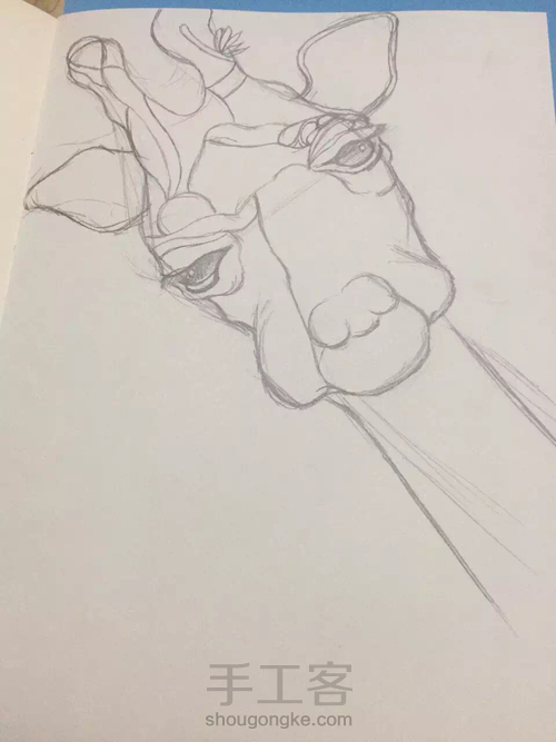 红红火火，长颈鹿 第1步