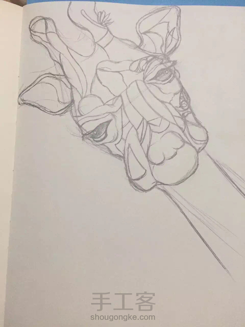 红红火火，长颈鹿 第2步