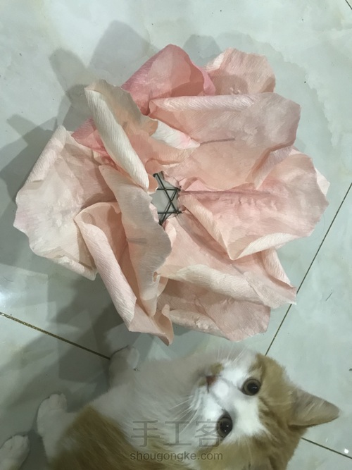 招桃花灯罩 第11步