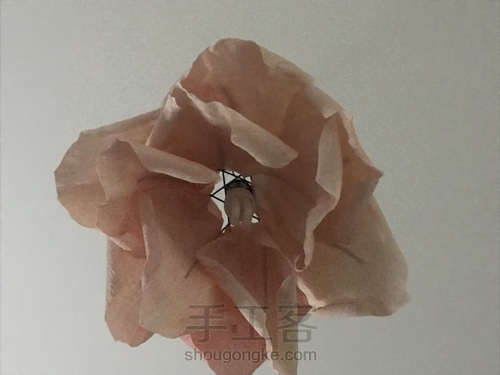 招桃花灯罩 第13步