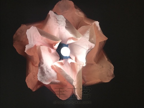 招桃花灯罩 第14步