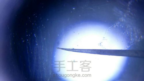 自制超简单显微镜 第9步