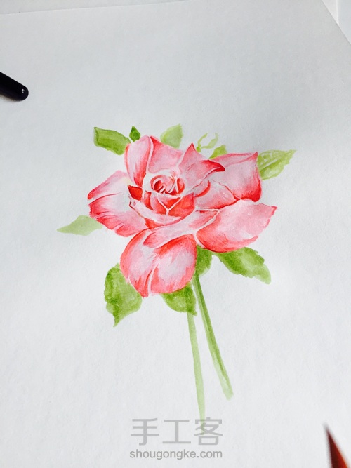 【手绘】玫瑰花 第6步