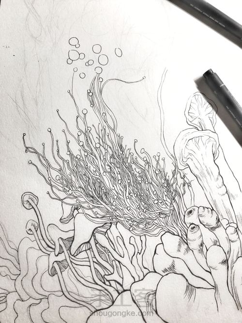 手绘线描画 第1步