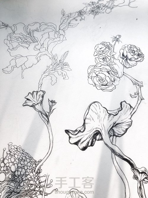 手绘线描画 第3步